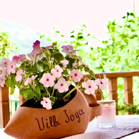 Joya Vilă Makriotika